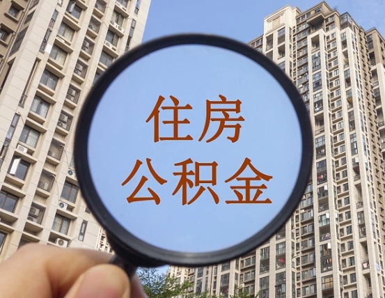 邵东退休后查不到公积金明细了吗（退休后公积金查询不到原因）